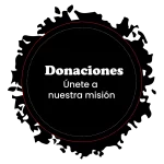 Segmento Iglesia cristiana Vida Plena internacional - Donaciones