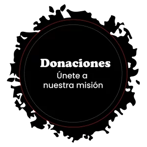 Segmento Iglesia cristiana Vida Plena internacional - Donaciones