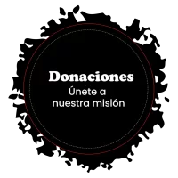 Segmento Iglesia cristiana Vida Plena internacional - Donaciones